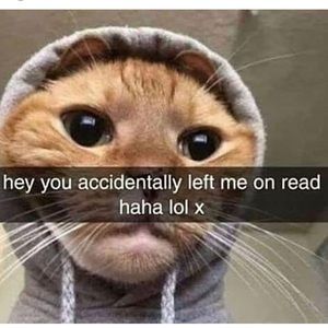 Meet your Posher, Willaim